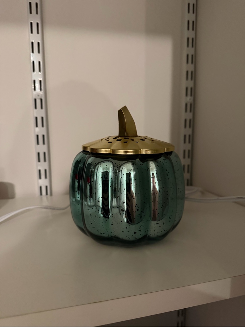 Teal Pumpkin Warmer